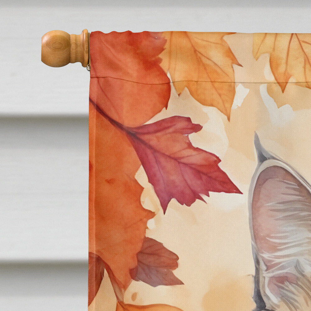 American Curl Cat in Fall Leaves House Flag 28x40 Porch Sleeve Pole Decorative Outside Yard Banner Artwork Wall Hanging, Polyester