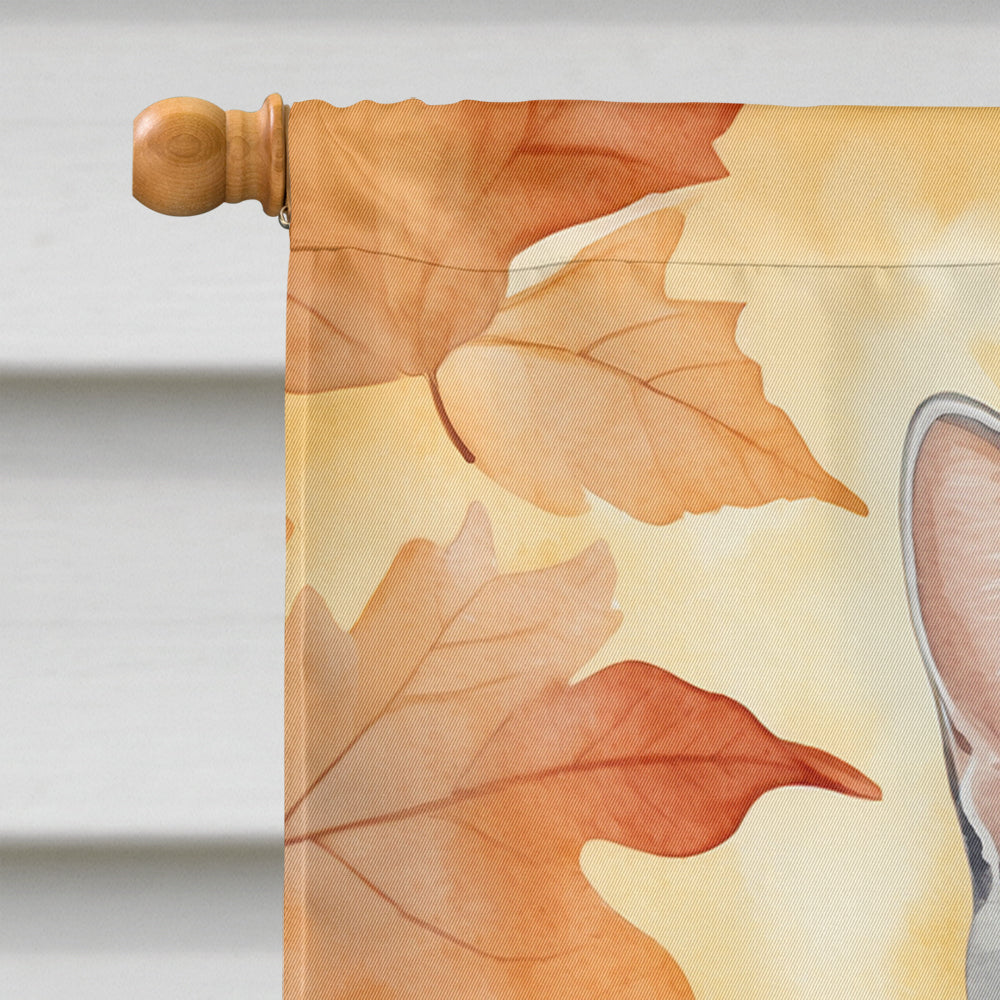 American Shorthair Cat in Fall Leaves House Flag 28x40 Porch Sleeve Pole Decorative Outside Yard Banner Artwork Wall Hanging, Polyester