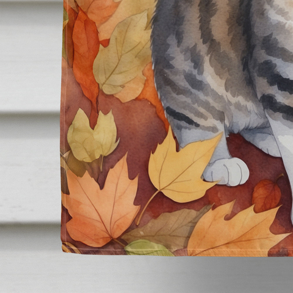 American Wirehair Cat in Fall Leaves House Flag 28x40 Porch Sleeve Pole Decorative Outside Yard Banner Artwork Wall Hanging, Polyester