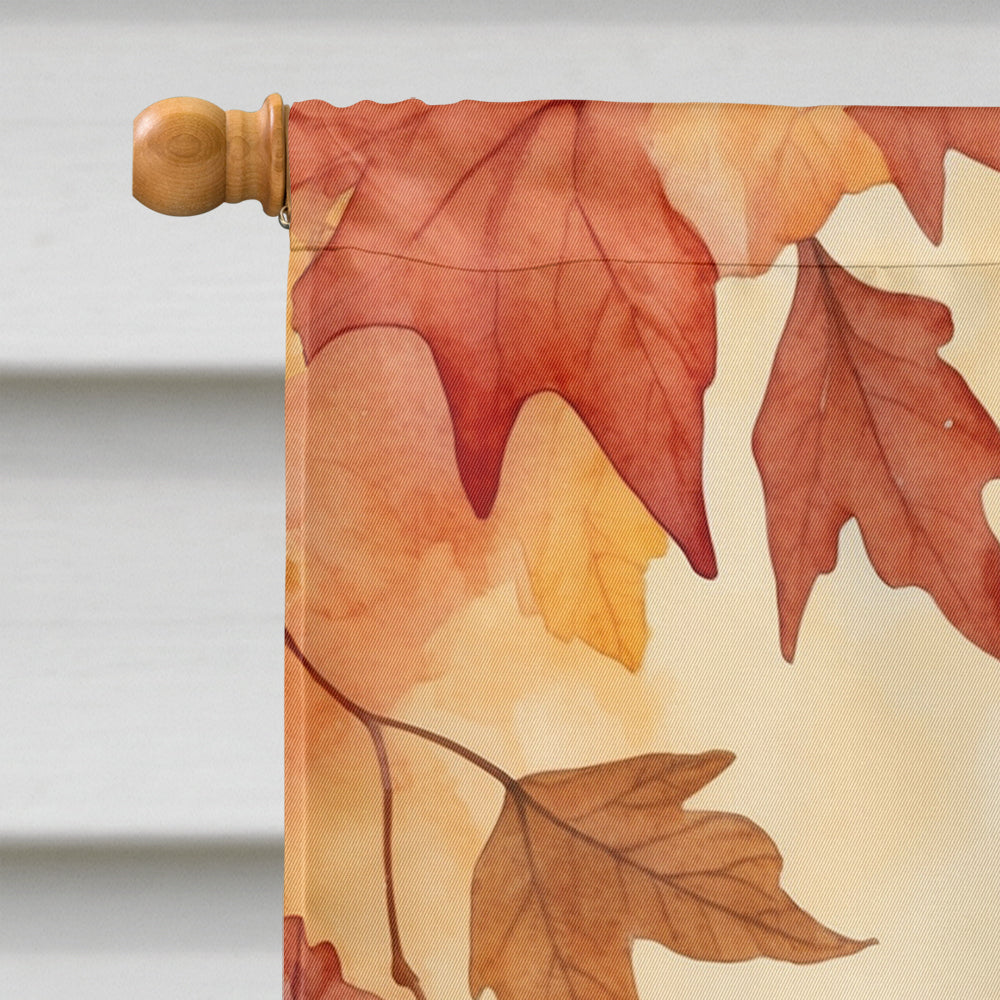 California Spangled Cat in Fall Leaves House Flag 28x40 Porch Sleeve Pole Decorative Outside Yard Banner Artwork Wall Hanging, Polyester
