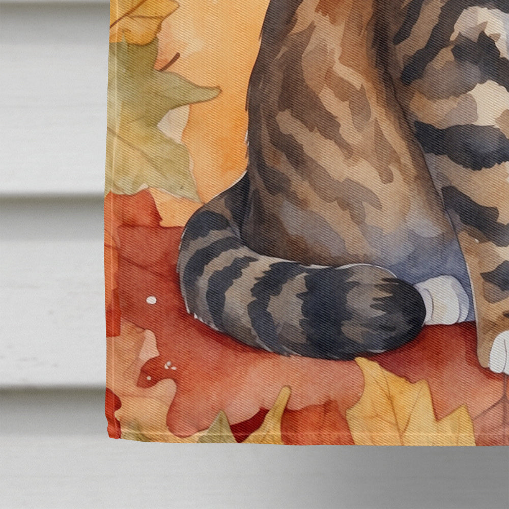 California Spangled Cat in Fall Leaves House Flag 28x40 Porch Sleeve Pole Decorative Outside Yard Banner Artwork Wall Hanging, Polyester