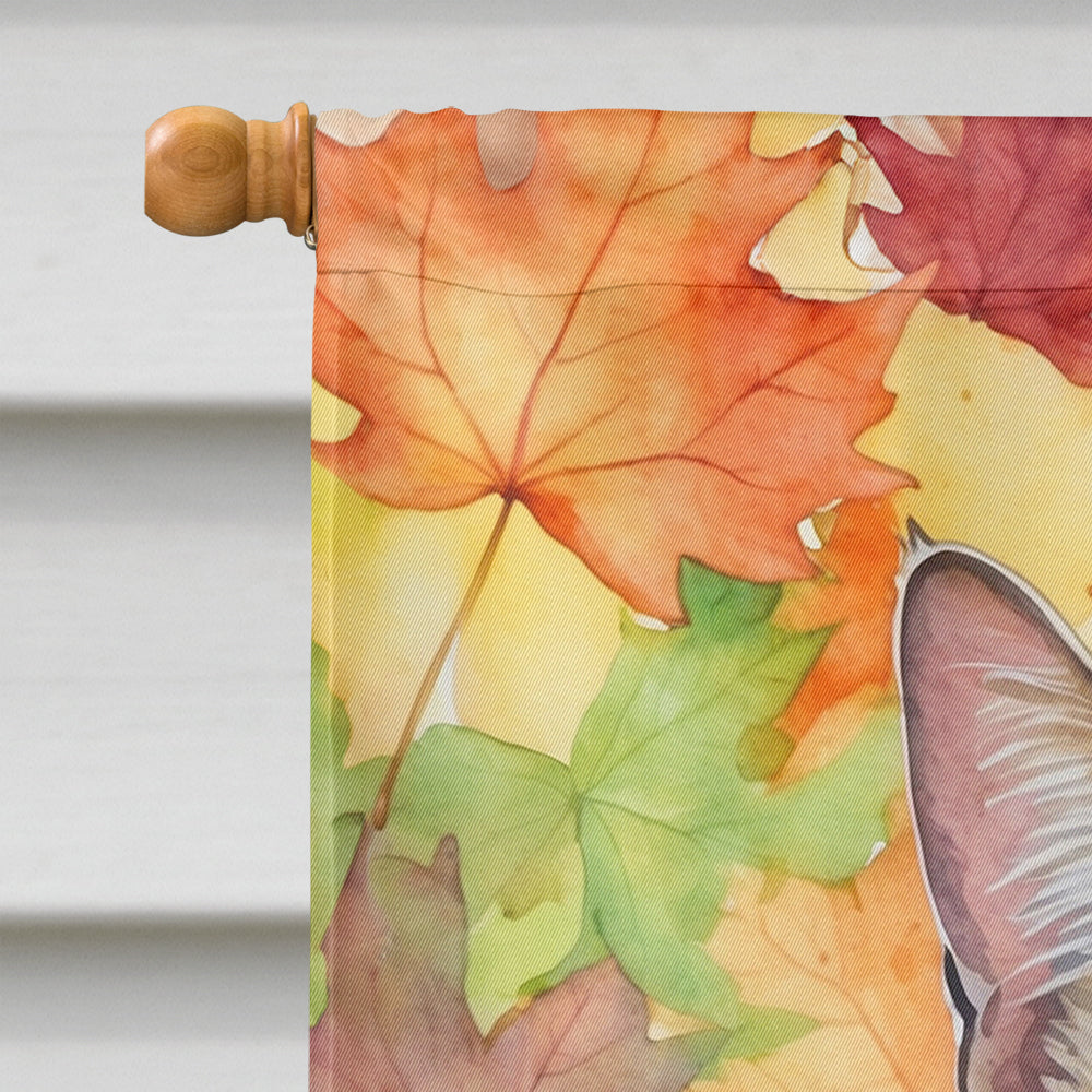California Spangled Cat in Fall Leaves House Flag 28x40 Porch Sleeve Pole Decorative Outside Yard Banner Artwork Wall Hanging, Polyester