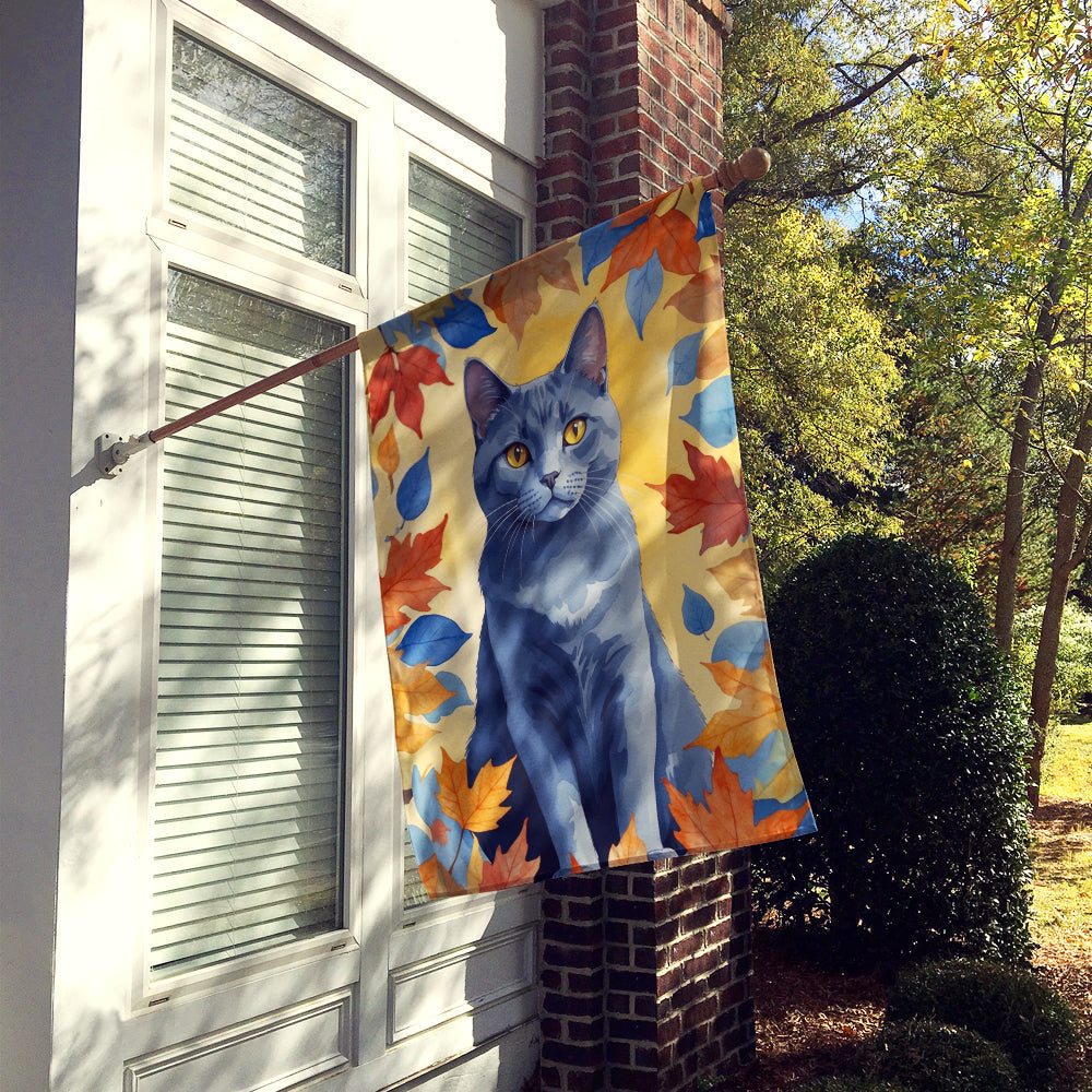 Chartreux Cat in Fall Leaves House Flag 28x40 Porch Sleeve Pole Decorative Outside Yard Banner Artwork Wall Hanging, Polyester