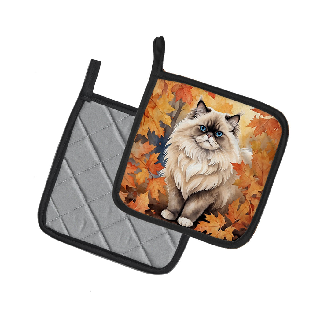 Colorpoint Longhair Cat in Fall Leaves Pot Holder Set of 2 Heat Resistant Quilted Hot Pads 7.5 x 7.5 Inch, Insulated Kitchen Trivets for Cooking & Baking