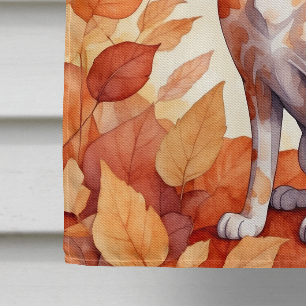 Devon Rex Cat in Fall Leaves House Flag 28x40 Porch Sleeve Pole Decorative Outside Yard Banner Artwork Wall Hanging, Polyester