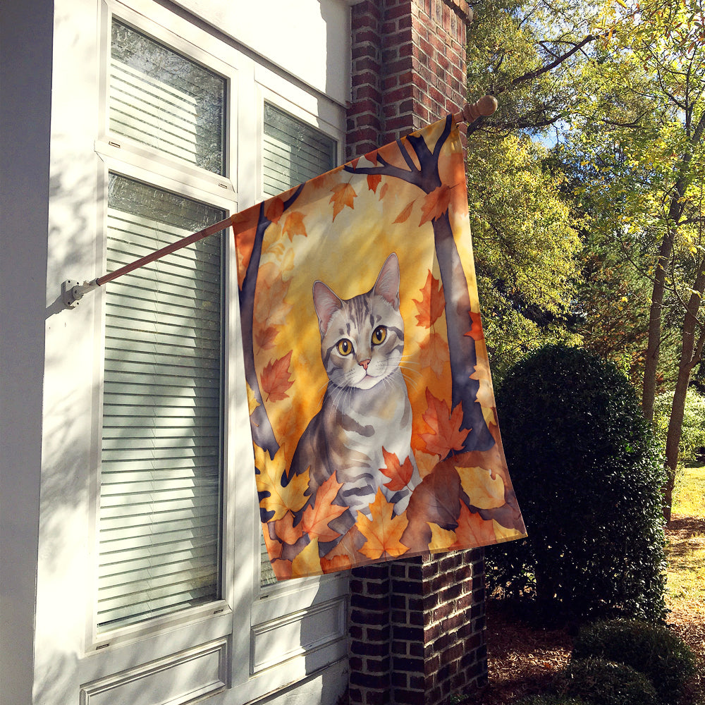 European Shorthair Cat in Fall Leaves House Flag 28x40 Porch Sleeve Pole Decorative Outside Yard Banner Artwork Wall Hanging, Polyester