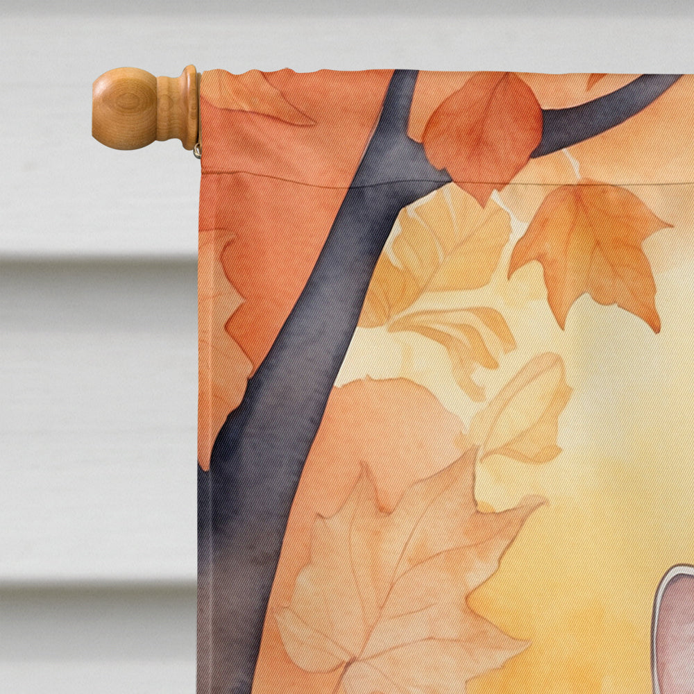 European Shorthair Cat in Fall Leaves House Flag 28x40 Porch Sleeve Pole Decorative Outside Yard Banner Artwork Wall Hanging, Polyester