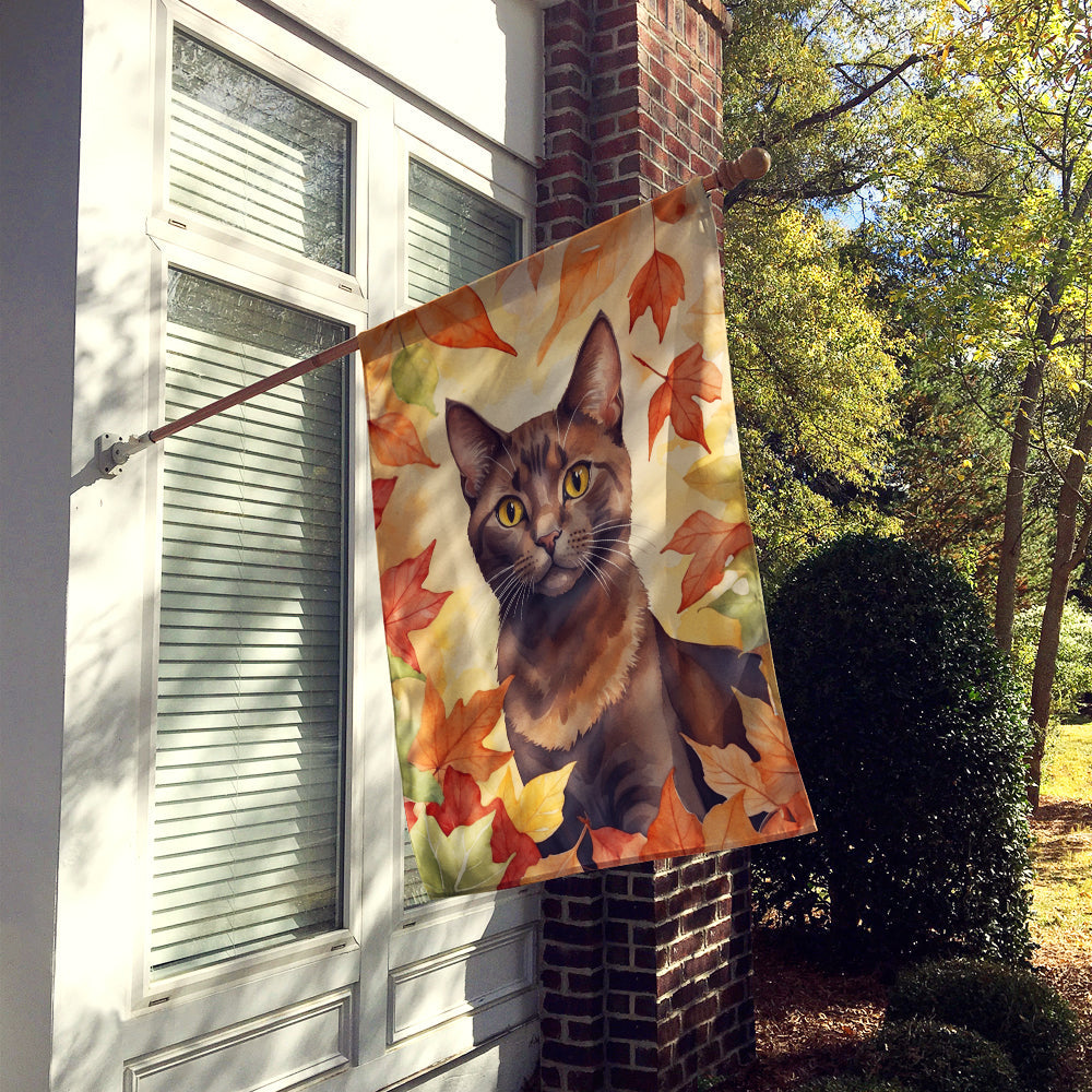 Havana Brown Cat in Fall Leaves House Flag 28x40 Porch Sleeve Pole Decorative Outside Yard Banner Artwork Wall Hanging, Polyester