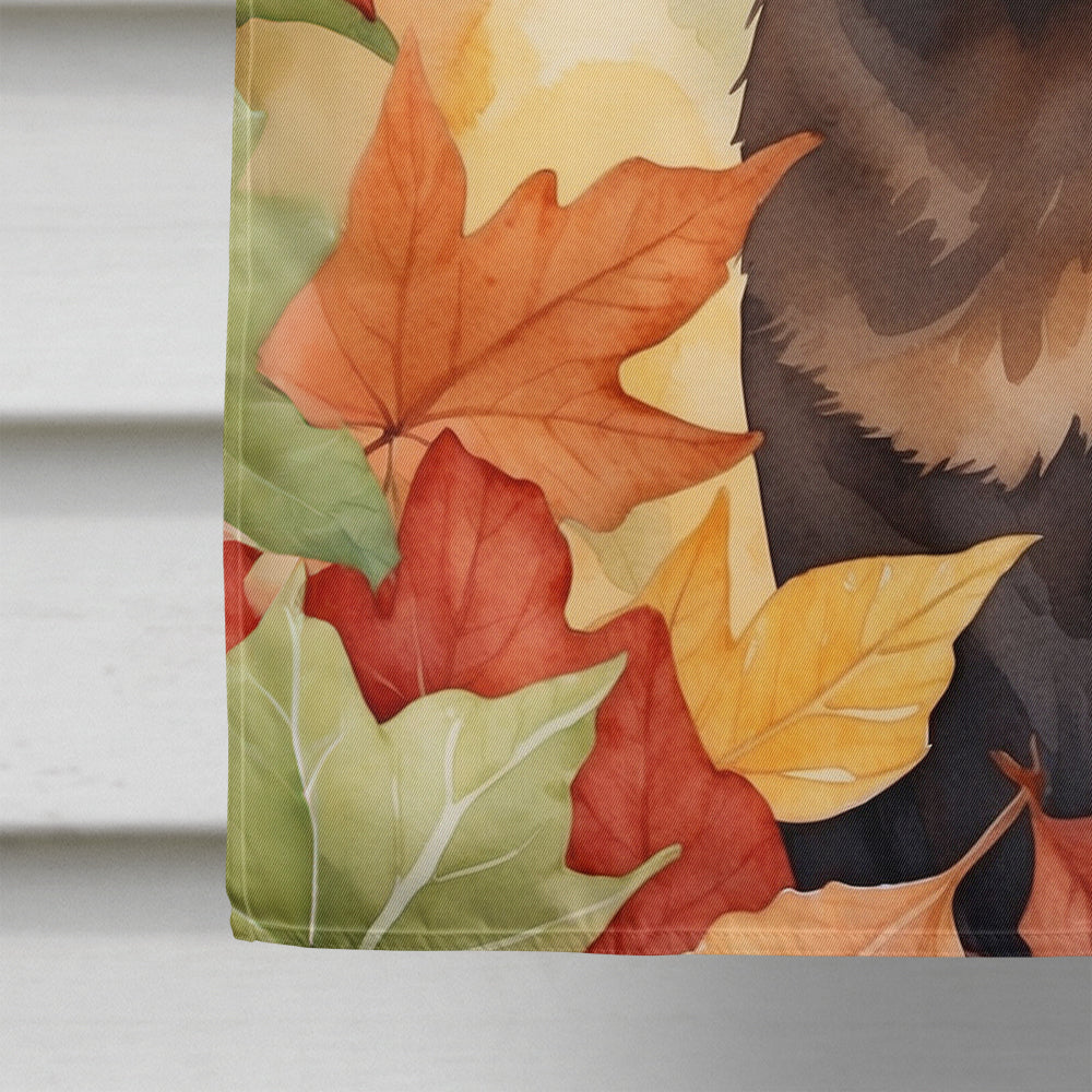 Havana Brown Cat in Fall Leaves House Flag 28x40 Porch Sleeve Pole Decorative Outside Yard Banner Artwork Wall Hanging, Polyester
