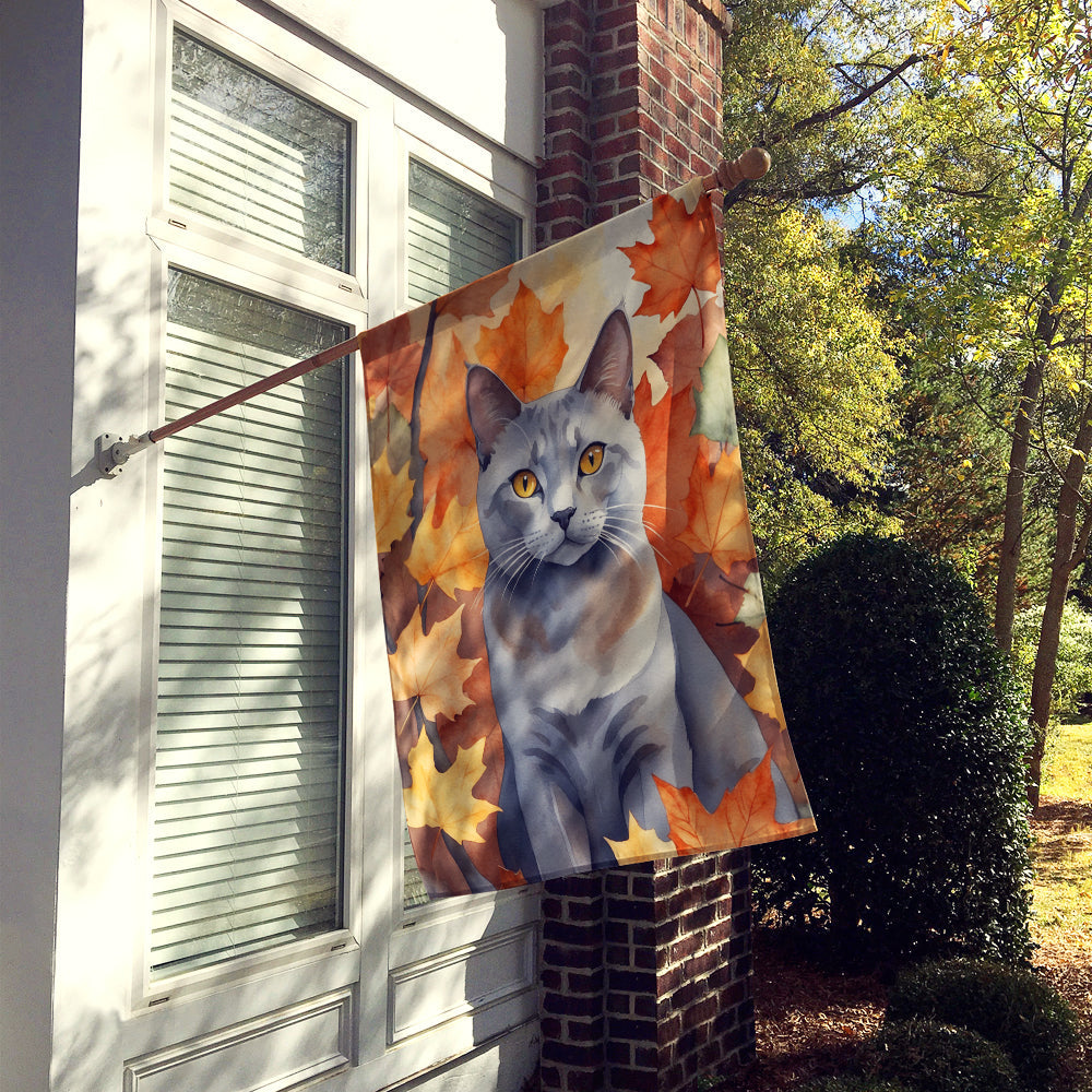 Korat Cat in Fall Leaves House Flag 28x40 Porch Sleeve Pole Decorative Outside Yard Banner Artwork Wall Hanging, Polyester