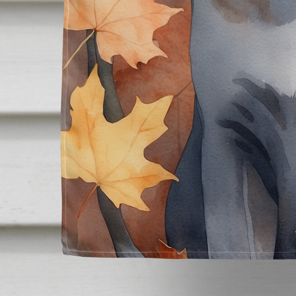 Korat Cat in Fall Leaves House Flag 28x40 Porch Sleeve Pole Decorative Outside Yard Banner Artwork Wall Hanging, Polyester