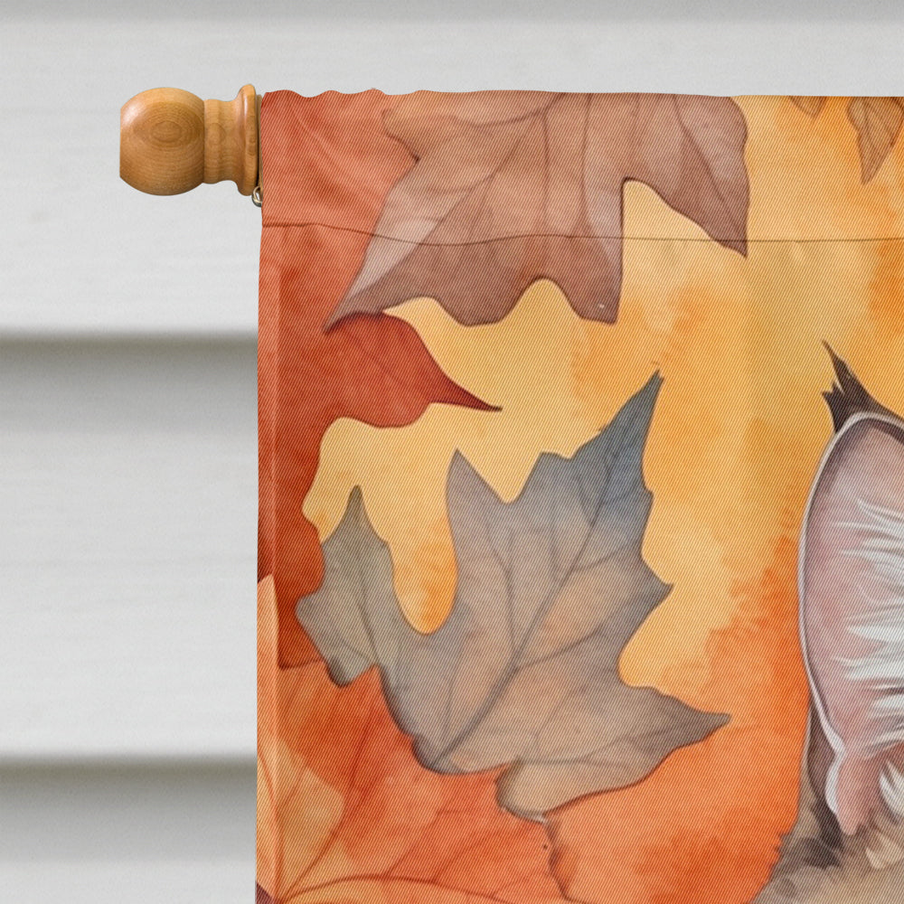 La Perm Cat in Fall Leaves House Flag 28x40 Porch Sleeve Pole Decorative Outside Yard Banner Artwork Wall Hanging, Polyester