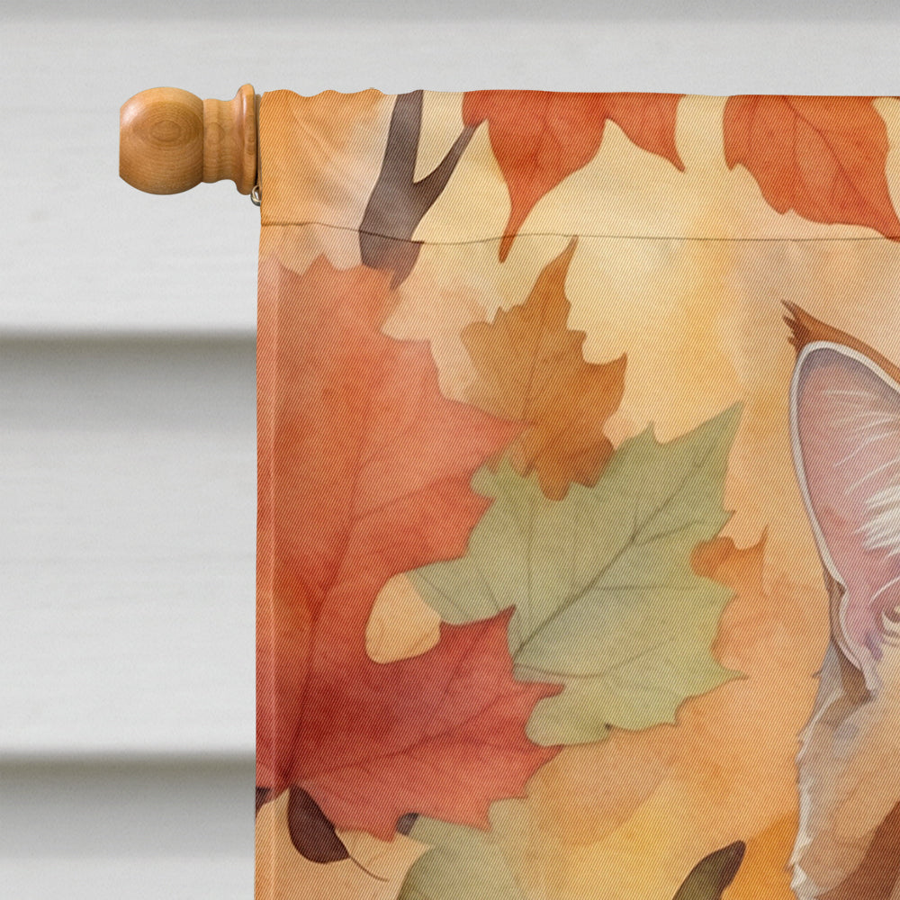 Manx Cat in Fall Leaves House Flag 28x40 Porch Sleeve Pole Decorative Outside Yard Banner Artwork Wall Hanging, Polyester
