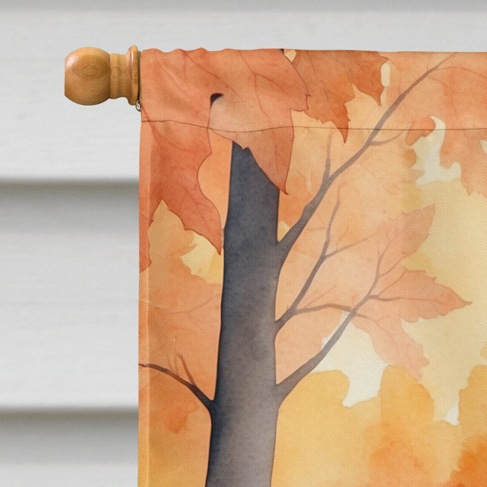 Oregon Rex Cat in Fall Leaves House Flag 28x40 Porch Sleeve Pole Decorative Outside Yard Banner Artwork Wall Hanging, Polyester