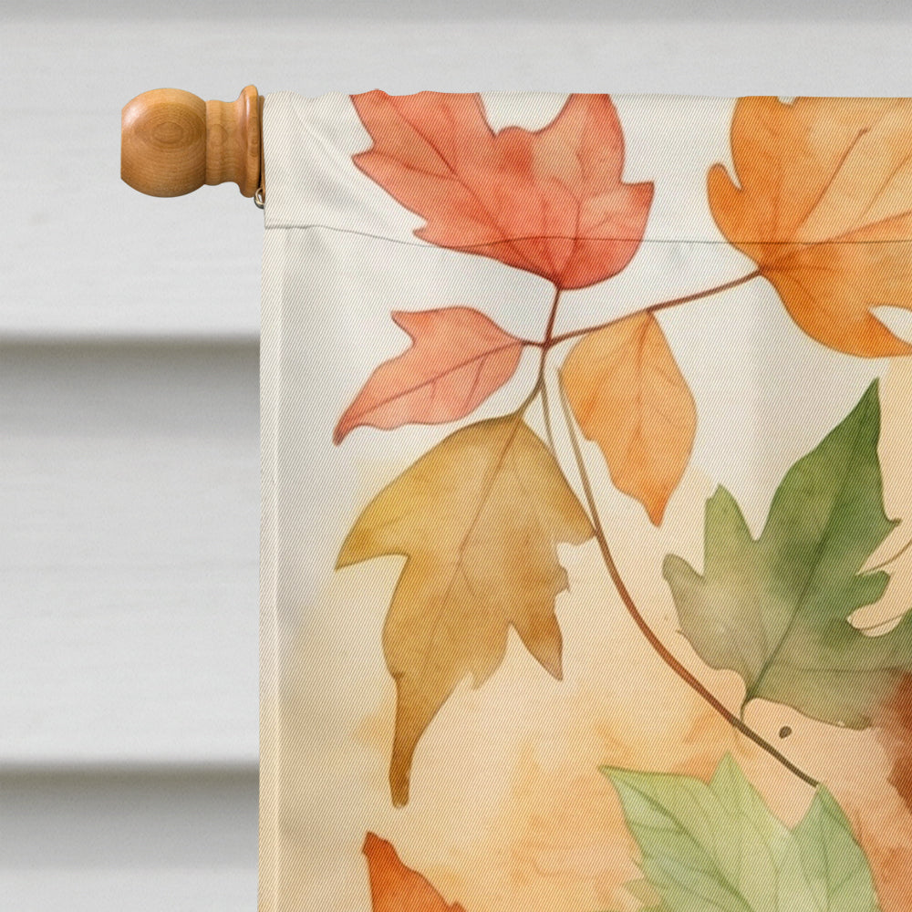 Ragamuffin Cat in Fall Leaves House Flag 28x40 Porch Sleeve Pole Decorative Outside Yard Banner Artwork Wall Hanging, Polyester