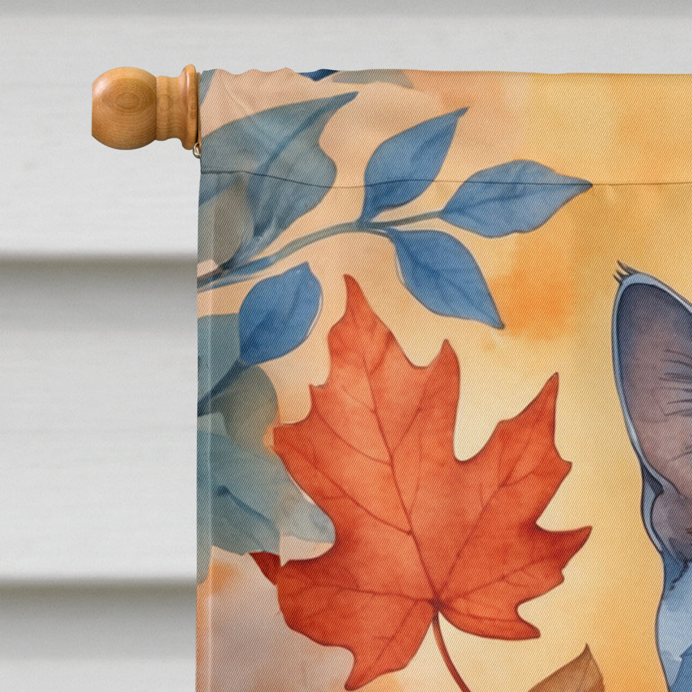 Russian Blue Cat in Fall Leaves House Flag 28x40 Porch Sleeve Pole Decorative Outside Yard Banner Artwork Wall Hanging, Polyester
