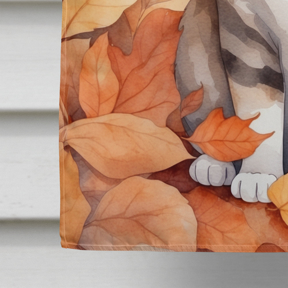 Scottish Fold Cat in Fall Leaves House Flag 28x40 Porch Sleeve Pole Decorative Outside Yard Banner Artwork Wall Hanging, Polyester