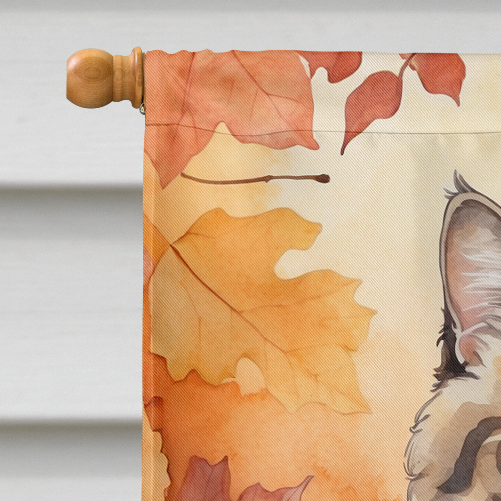 Selkirk Rex Cat in Fall Leaves House Flag 28x40 Porch Sleeve Pole Decorative Outside Yard Banner Artwork Wall Hanging, Polyester