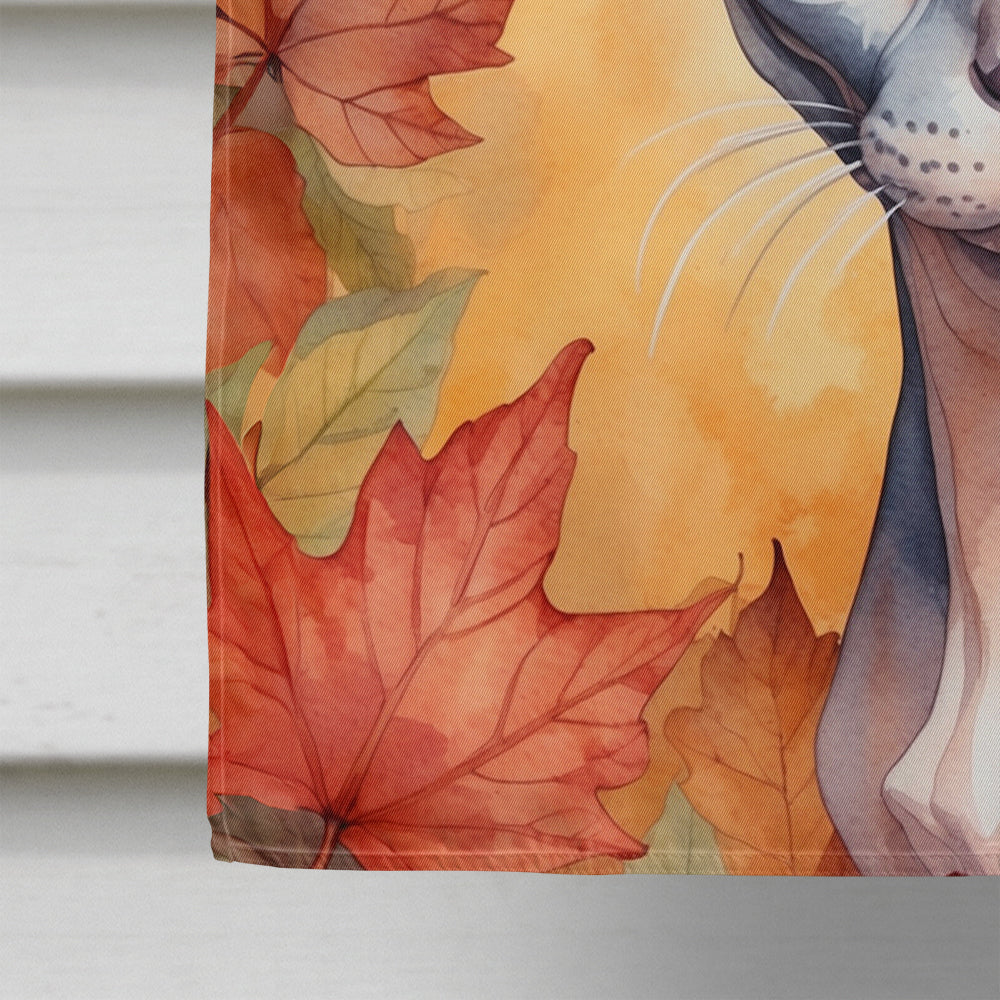 Sphynx Cat in Fall Leaves House Flag 28x40 Porch Sleeve Pole Decorative Outside Yard Banner Artwork Wall Hanging, Polyester