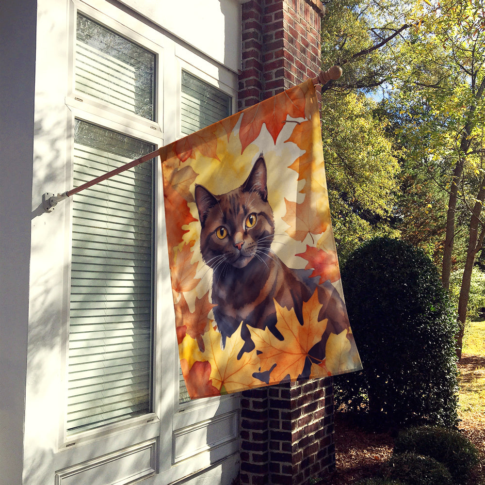 York Chocolate Cat in Fall Leaves House Flag 28x40 Porch Sleeve Pole Decorative Outside Yard Banner Artwork Wall Hanging, Polyester