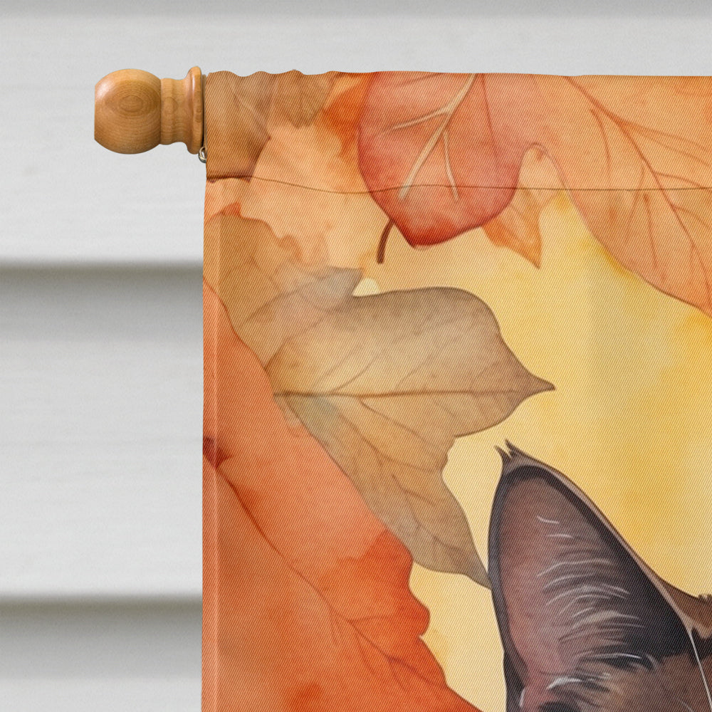 York Chocolate Cat in Fall Leaves House Flag 28x40 Porch Sleeve Pole Decorative Outside Yard Banner Artwork Wall Hanging, Polyester