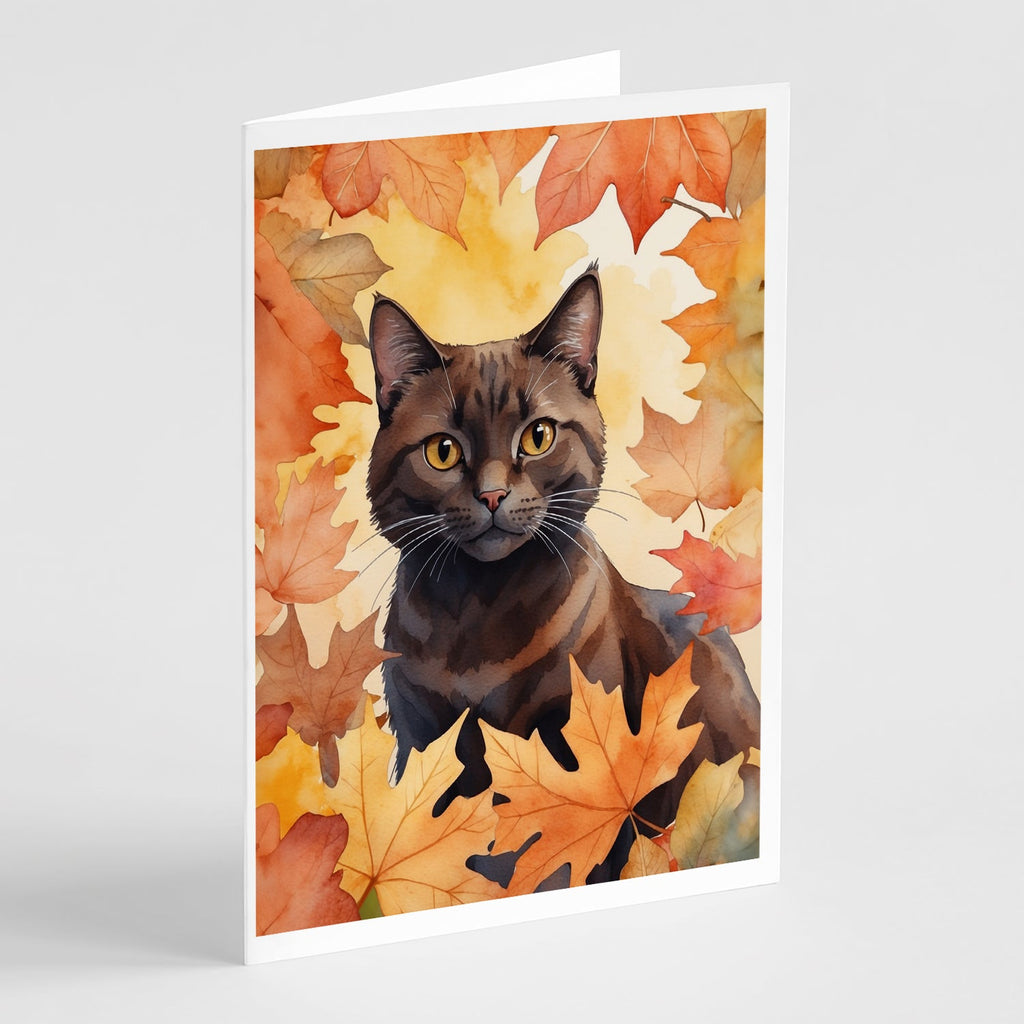 York Chocolate Cat in Fall Leaves Greeting Cards Pack of 8 Blank Cards with Envelopes Whimsical A7 Size 5x7