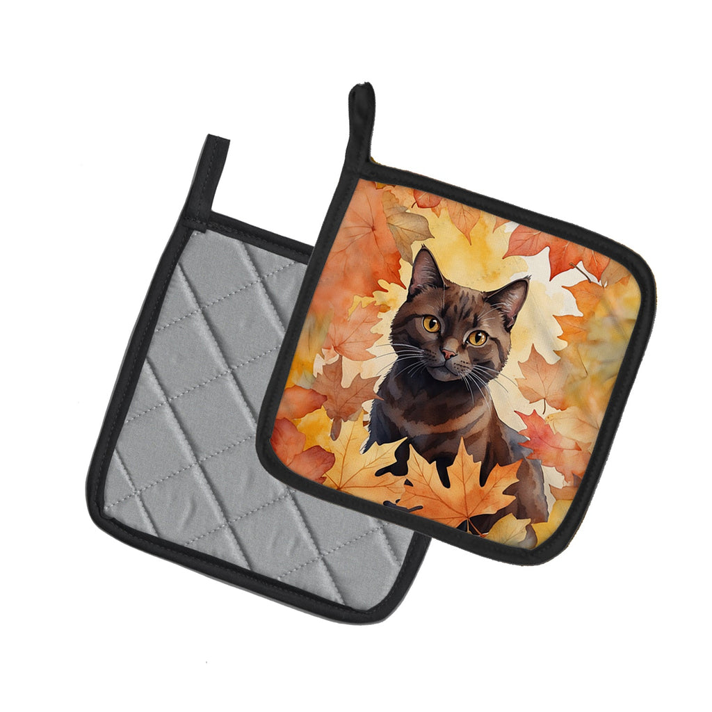 York Chocolate Cat in Fall Leaves Pot Holder Set of 2 Heat Resistant Quilted Hot Pads 7.5 x 7.5 Inch, Insulated Kitchen Trivets for Cooking & Baking