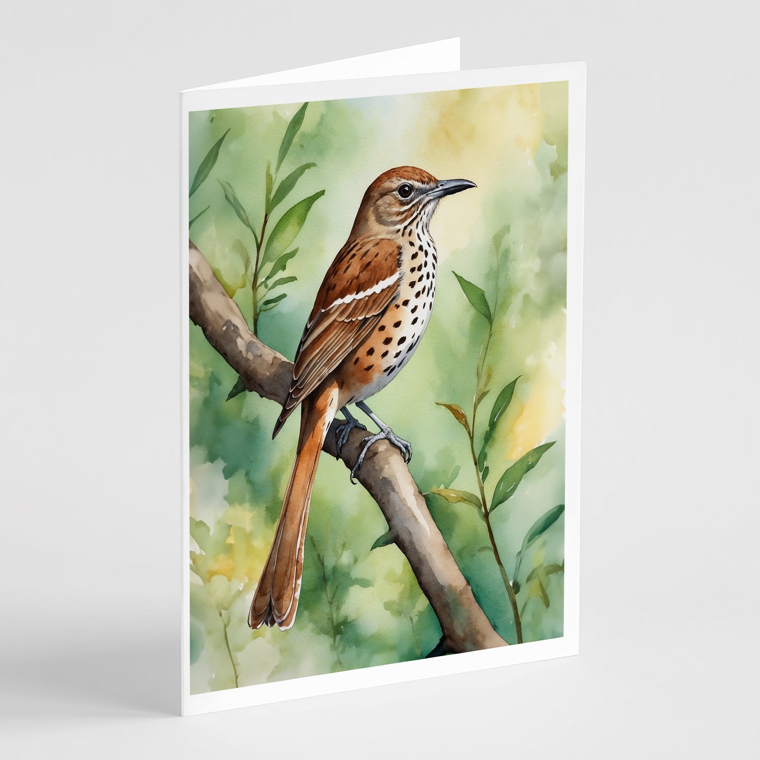Georgia Brown Thrasher Greeting Cards Pack of 8 Blank Cards with Envelopes Whimsical A7 Size 5x7
