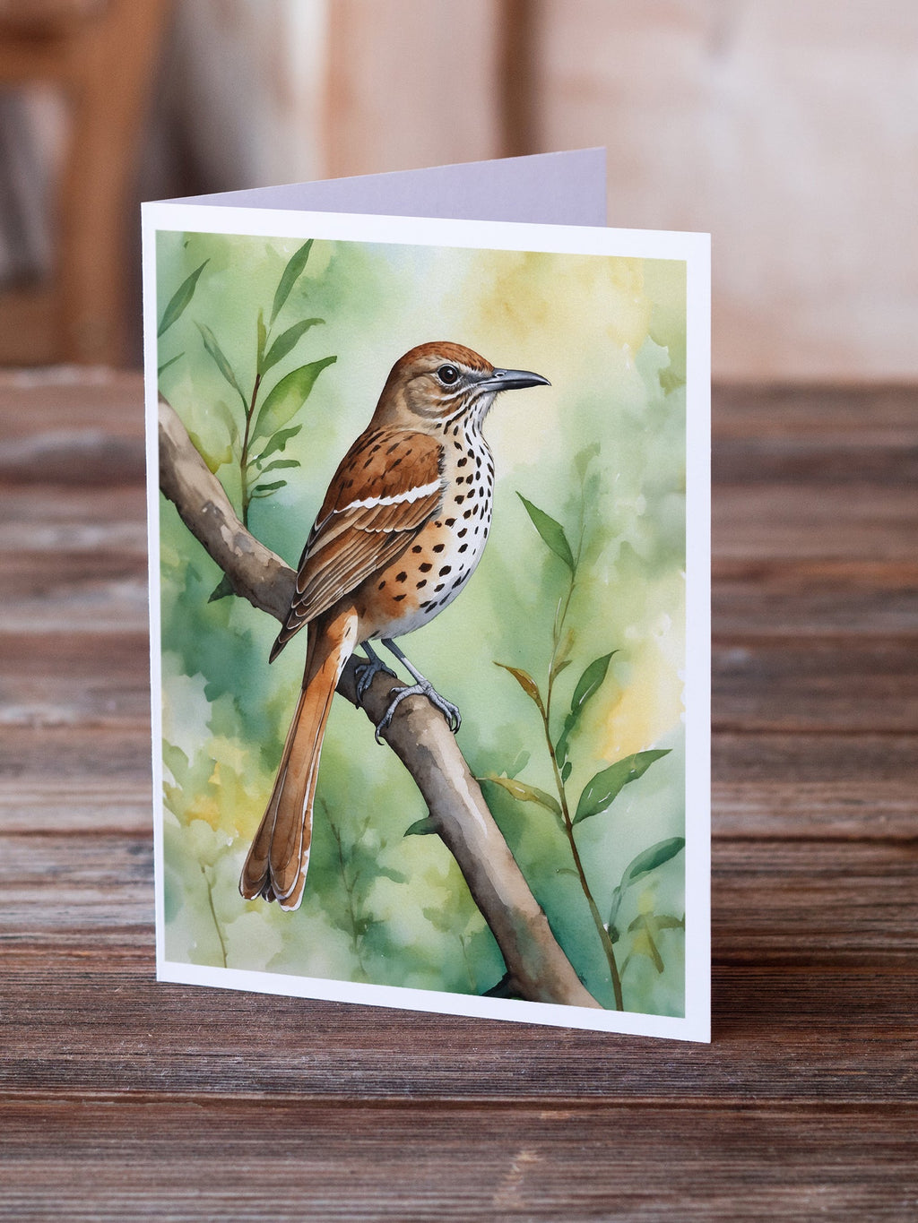 Georgia Brown Thrasher Greeting Cards Pack of 8 Blank Cards with Envelopes Whimsical A7 Size 5x7