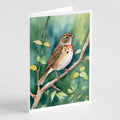 Vermont Hermit Thrush Greeting Cards Pack of 8 Blank Cards with Envelopes Whimsical A7 Size 5x7