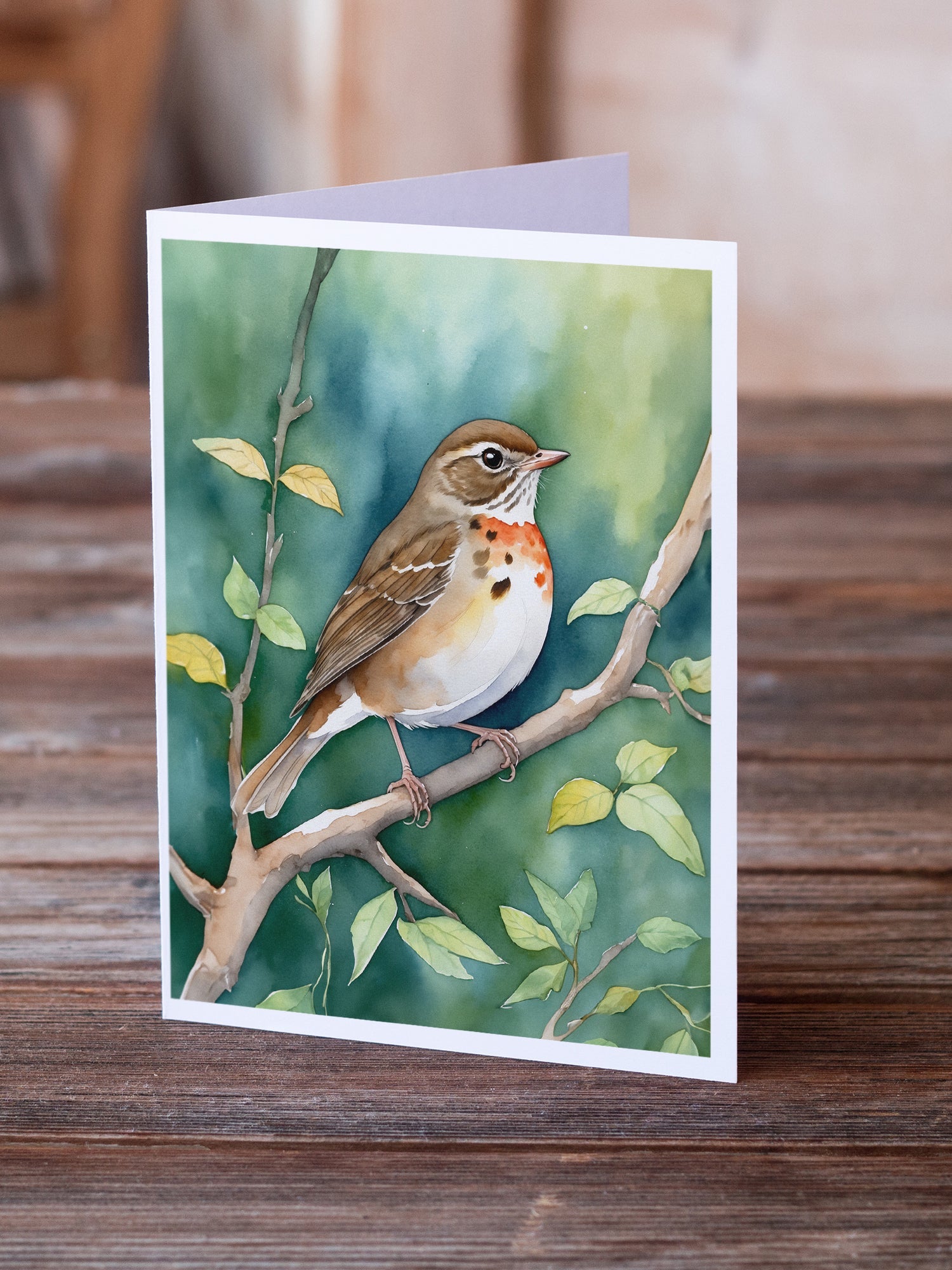 Vermont Hermit Thrush Greeting Cards Pack of 8 Blank Cards with Envelopes Whimsical A7 Size 5x7