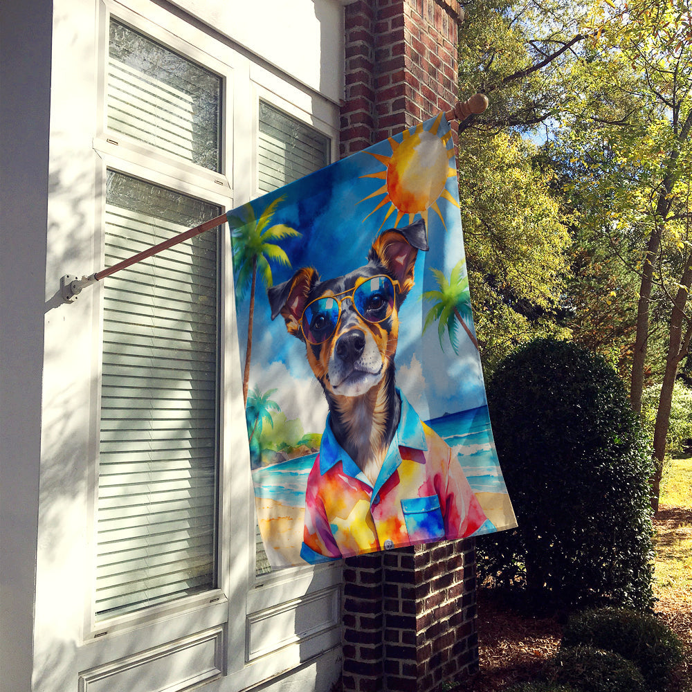 Miniature Pinscher Summer Beach Time House Flag 28x40 Porch Sleeve Pole Decorative Outside Yard Banner Artwork Wall Hanging, Polyester