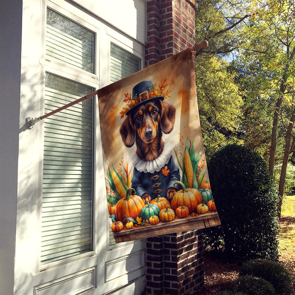 Chocolate Dachshund Thanksgiving House Flag 28x40 Porch Sleeve Pole Decorative Outside Yard Banner Artwork Wall Hanging, Polyester
