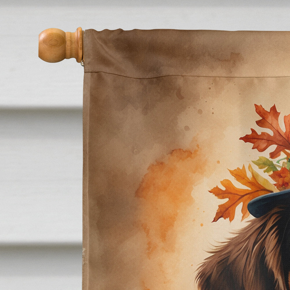Chocolate Dachshund Thanksgiving House Flag 28x40 Porch Sleeve Pole Decorative Outside Yard Banner Artwork Wall Hanging, Polyester