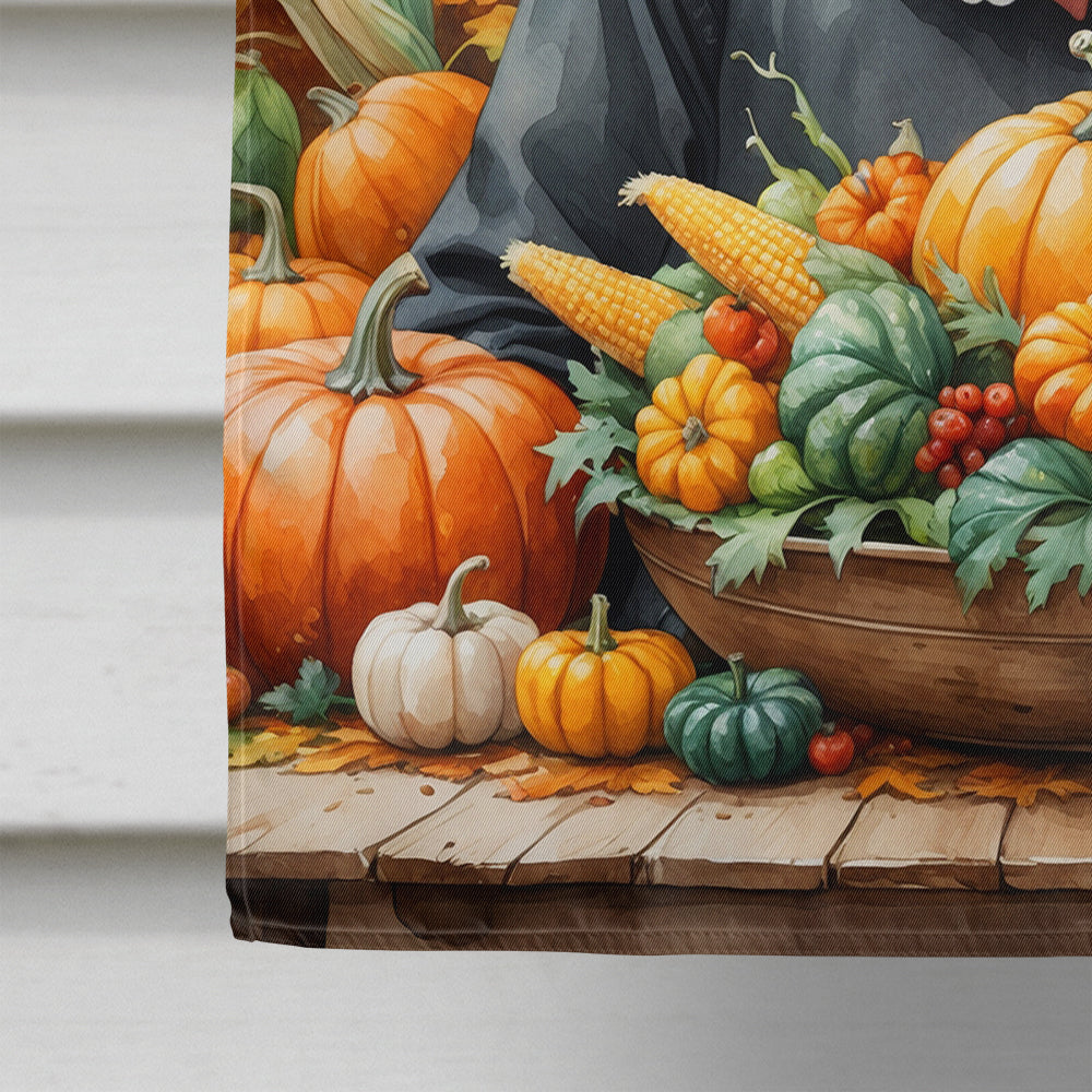 Black Pug Thanksgiving House Flag 28x40 Porch Sleeve Pole Decorative Outside Yard Banner Artwork Wall Hanging, Polyester