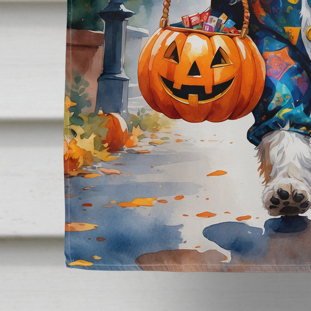 Bernedoodle Halloween Trick or Treat House Flag 28x40 Porch Sleeve Pole Decorative Outside Yard Banner Artwork Wall Hanging, Polyester