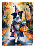 Border Collie Halloween Trick or Treat House Flag 28x40 Porch Sleeve Pole Decorative Outside Yard Banner Artwork Wall Hanging, Polyester