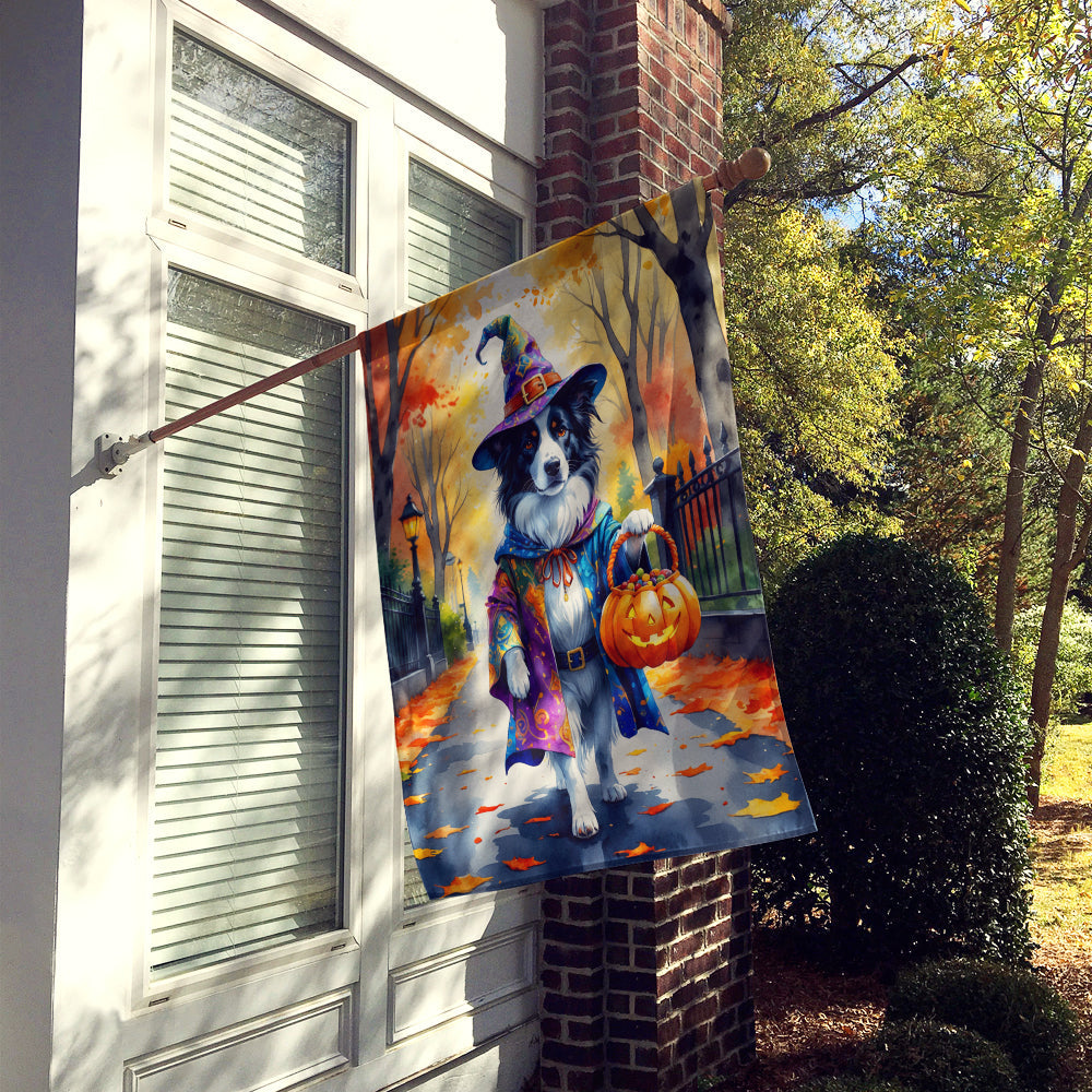 Border Collie Halloween Trick or Treat House Flag 28x40 Porch Sleeve Pole Decorative Outside Yard Banner Artwork Wall Hanging, Polyester