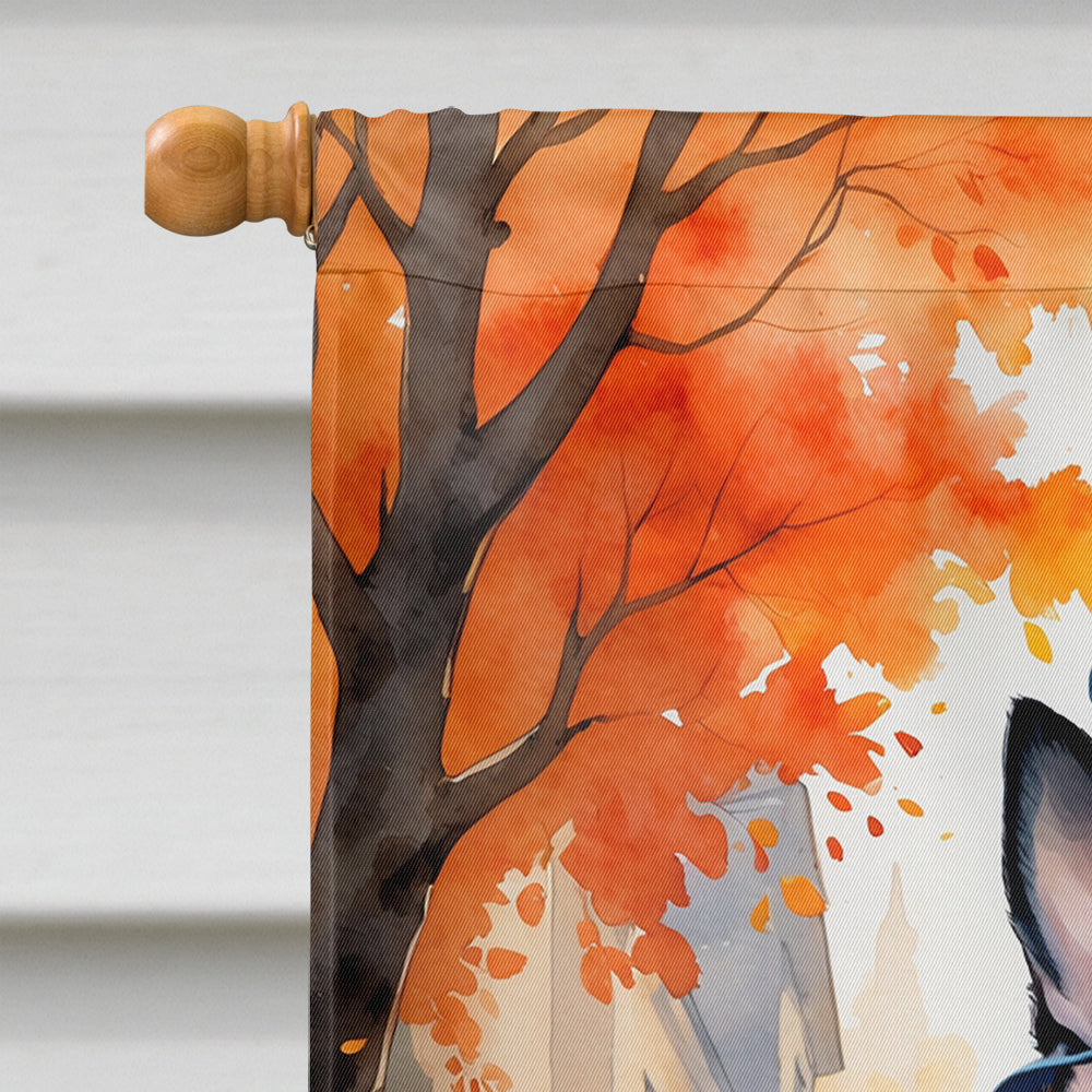 Boston Terrier Halloween Trick or Treat House Flag 28x40 Porch Sleeve Pole Decorative Outside Yard Banner Artwork Wall Hanging, Polyester