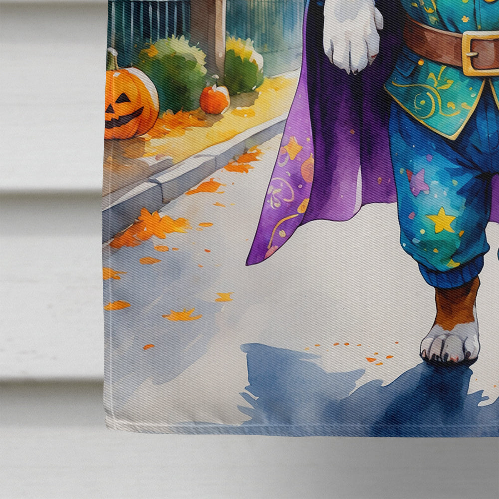 Boxer Halloween Trick or Treat House Flag 28x40 Porch Sleeve Pole Decorative Outside Yard Banner Artwork Wall Hanging, Polyester