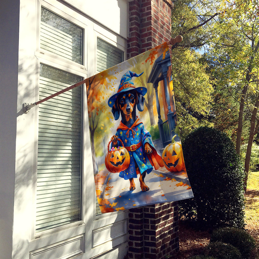 Dachshund Halloween Trick or Treat House Flag 28x40 Porch Sleeve Pole Decorative Outside Yard Banner Artwork Wall Hanging, Polyester