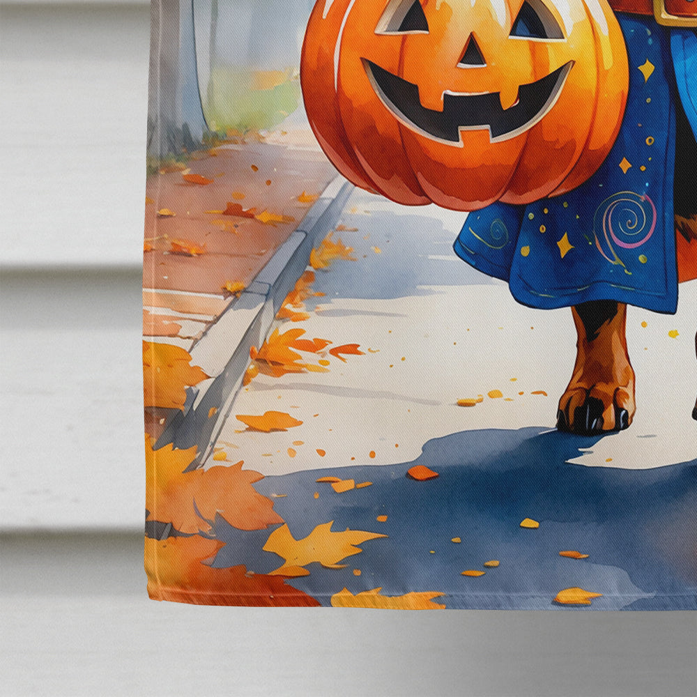 Dachshund Halloween Trick or Treat House Flag 28x40 Porch Sleeve Pole Decorative Outside Yard Banner Artwork Wall Hanging, Polyester