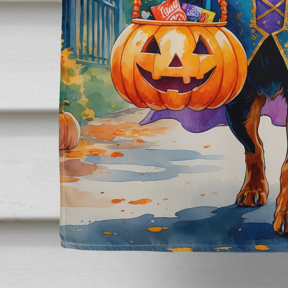 Doberman Pinscher Halloween Trick or Treat House Flag 28x40 Porch Sleeve Pole Decorative Outside Yard Banner Artwork Wall Hanging, Polyester