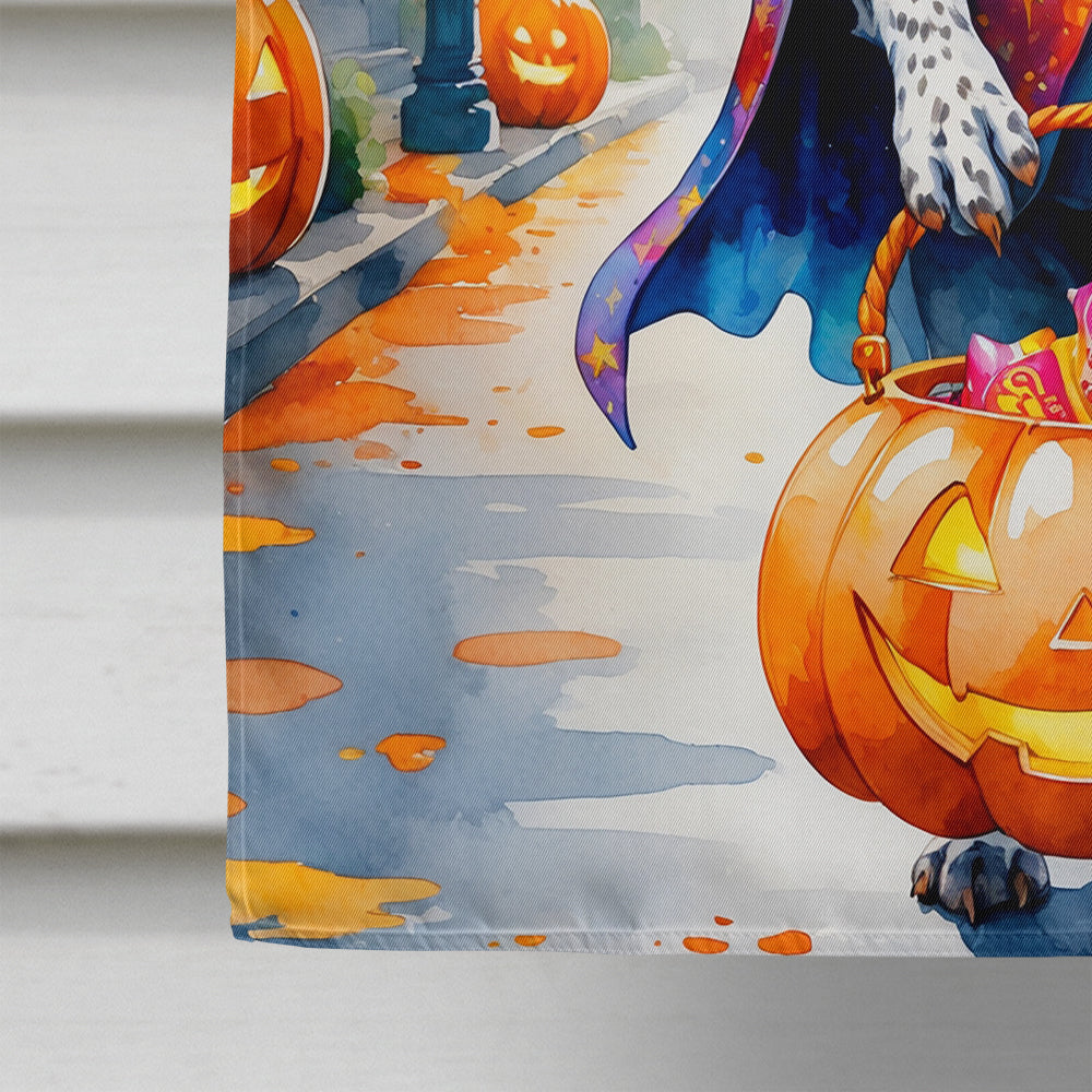 German Shorthaired Pointer Halloween Trick or Treat House Flag 28x40 Porch Sleeve Pole Decorative Outside Yard Banner Artwork Wall Hanging, Polyester