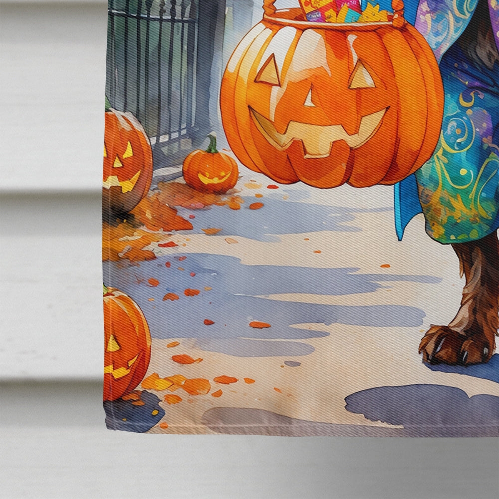 German Wirehaired Pointer Halloween Trick or Treat House Flag 28x40 Porch Sleeve Pole Decorative Outside Yard Banner Artwork Wall Hanging, Polyester