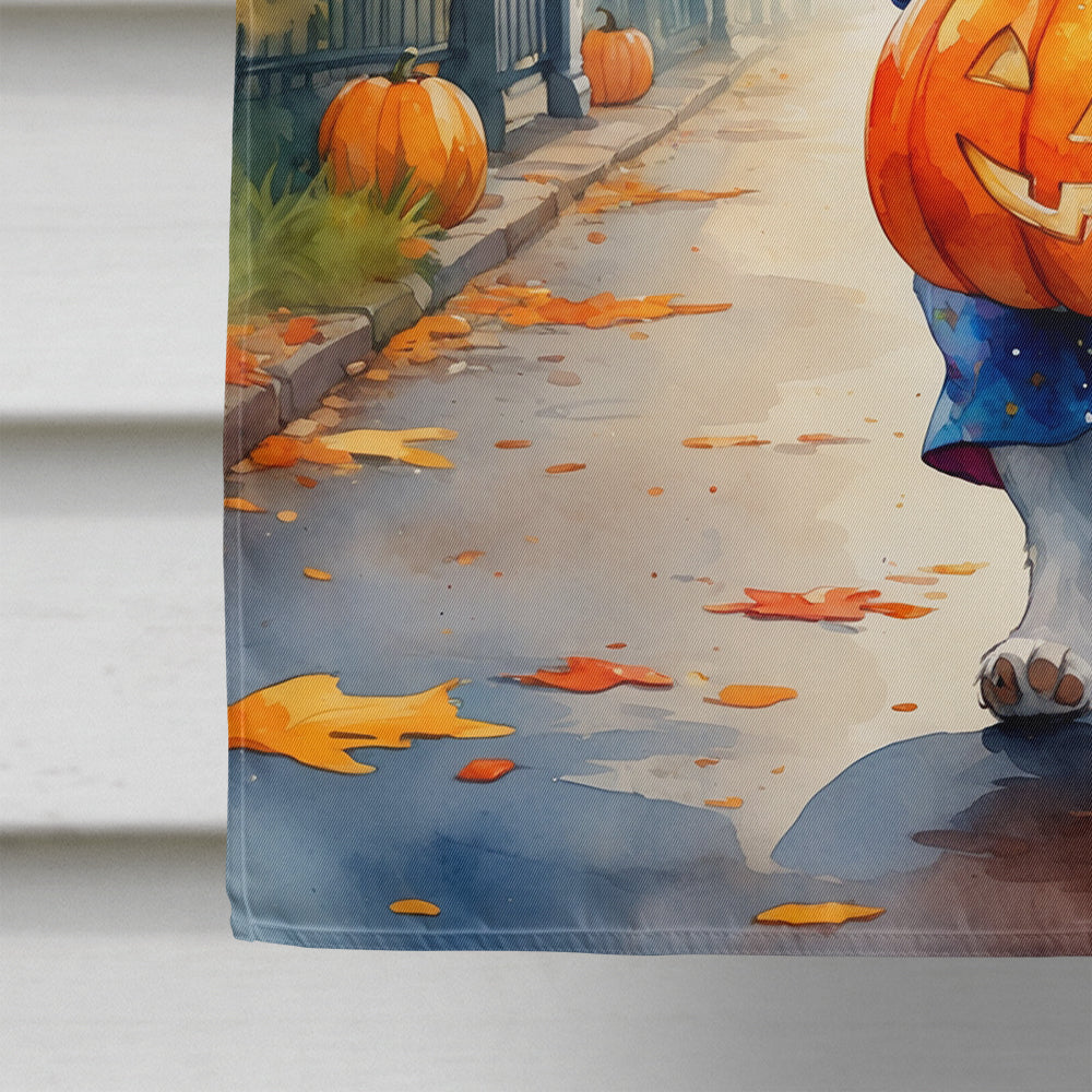 Jack Russell Terrier Halloween Trick or Treat House Flag 28x40 Porch Sleeve Pole Decorative Outside Yard Banner Artwork Wall Hanging, Polyester