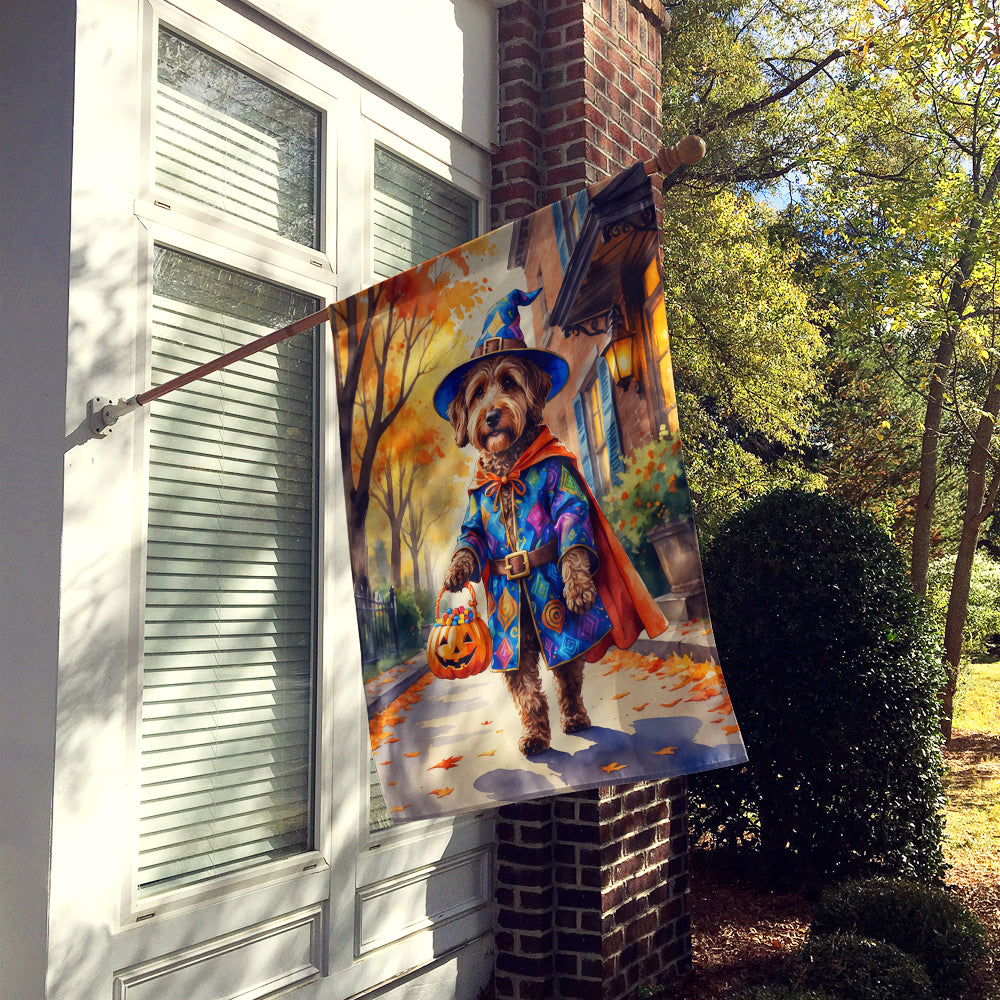 Chocolate Labradoodle Halloween Trick or Treat House Flag 28x40 Porch Sleeve Pole Decorative Outside Yard Banner Artwork Wall Hanging, Polyester