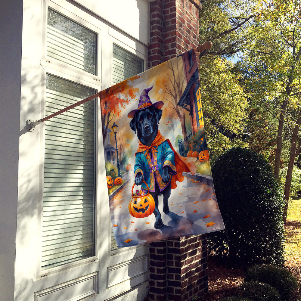 Black Labrador Retriever Halloween Trick or Treat House Flag 28x40 Porch Sleeve Pole Decorative Outside Yard Banner Artwork Wall Hanging, Polyester