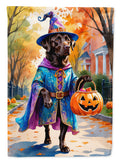 Chocolate Labrador Retriever Halloween Trick or Treat House Flag 28x40 Porch Sleeve Pole Decorative Outside Yard Banner Artwork Wall Hanging, Polyester