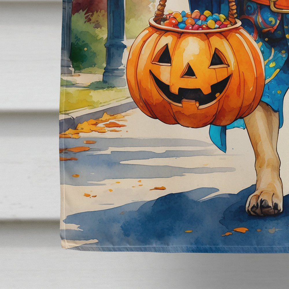 Yellow Labrador Retriever Halloween Trick or Treat House Flag 28x40 Porch Sleeve Pole Decorative Outside Yard Banner Artwork Wall Hanging, Polyester